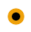 orange dot